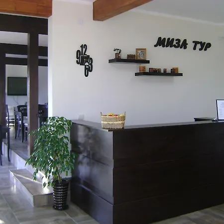 Miza